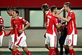 * Nomination Austria's players cheer after the goal by Marc Janko (right). --Steindy 09:17, 14 June 2022 (UTC) * Promotion &nbsp;Support Good quality. --Poco a poco 10:30, 14 June 2022 (UTC)